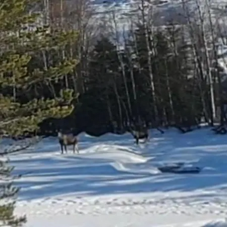 منزل للإقامة Holiday Rooms