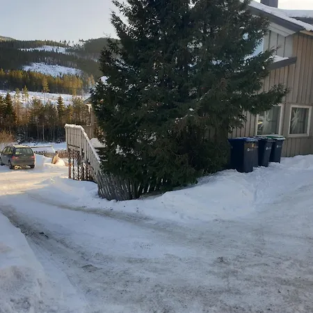 Holiday Rooms * غول