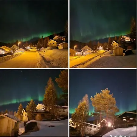 Holiday Rooms * Гуль